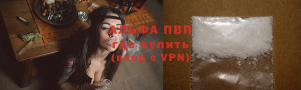 молекула духа Алексеевка