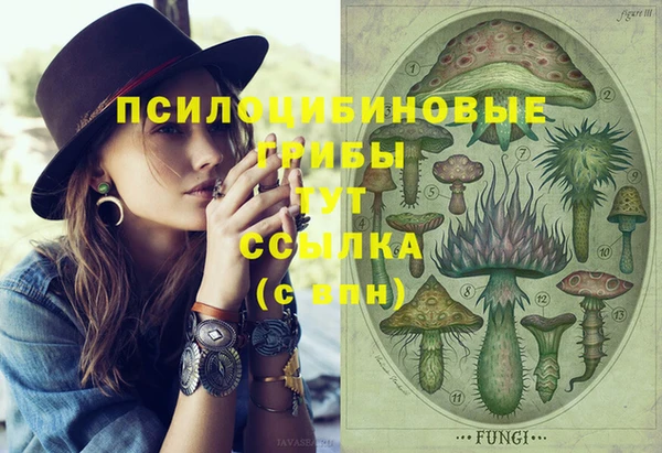ECSTASY Алексин