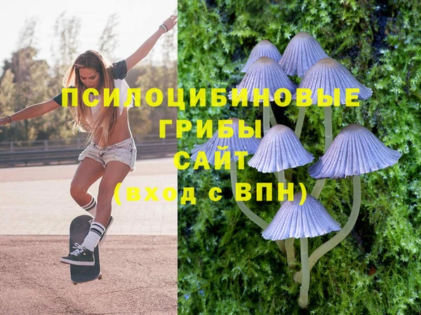 бутират Алзамай