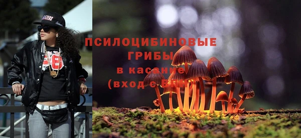 молекула духа Алексеевка