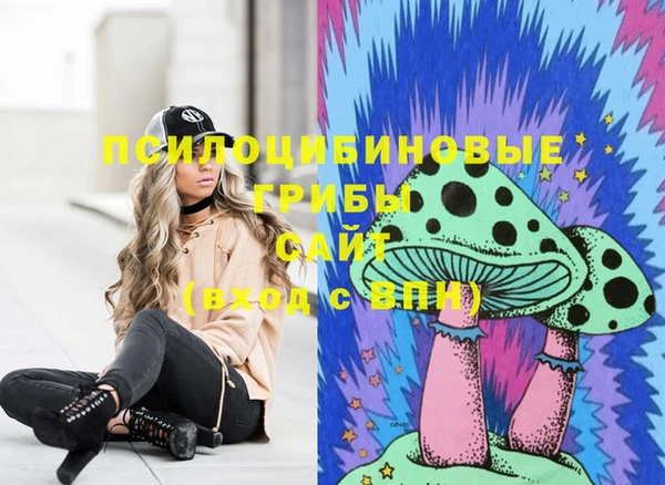 молекула духа Алексеевка